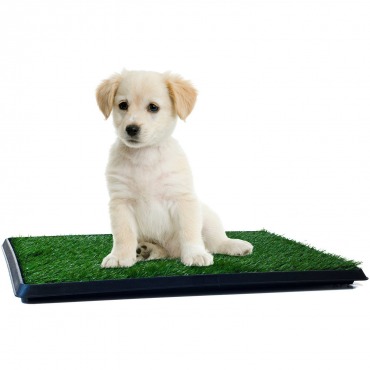 gallery/petmaker-puppy-potty-entrenador-de-la-piscina-cubierta-de-bao-para-mascotas-de-16-x-20-en